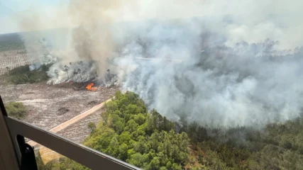 Featured image for “Georgia fire grows; Glynn County homes evacuated”