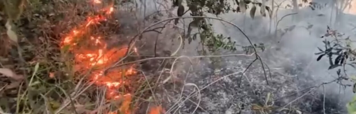 A wildfire burns on the border of Clay and Putnam conunties.