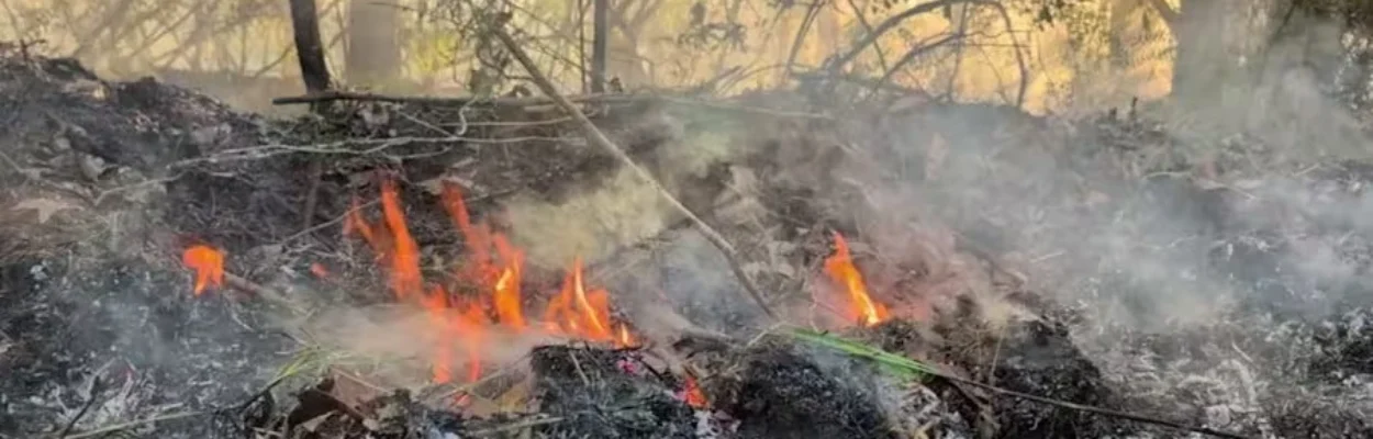 Wildfire in the woods near the Putnam and Clay County border.