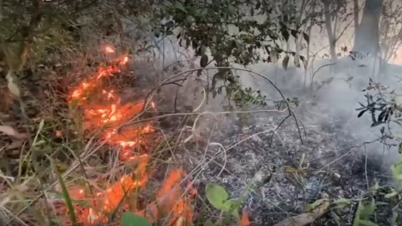 Featured image for “Wildfires burn in Clay and Putnam counties; risks remain high”