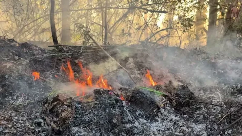 Featured image for “Clay-Putnam wildfire now 65% contained”