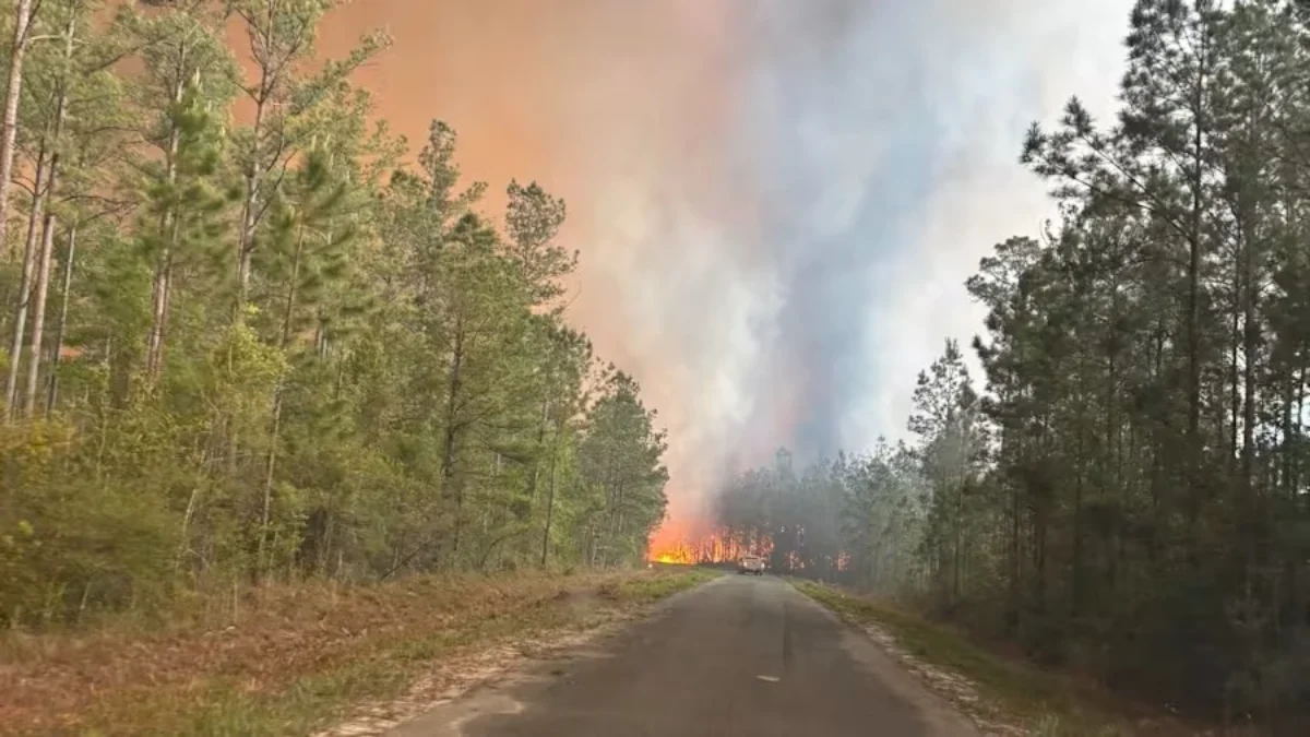 Wildfire shown along the road in Brantley County, Georgia.