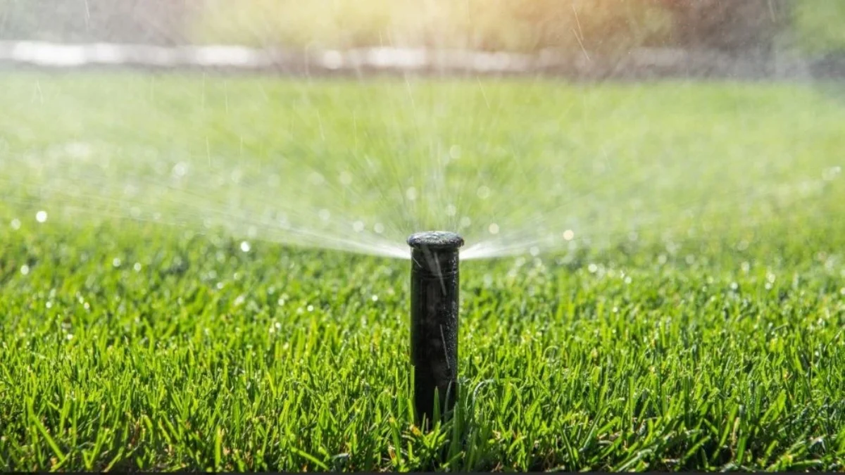 A sprinkler waters a lawn.