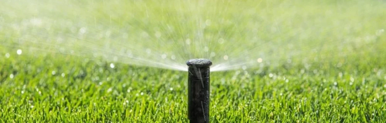A sprinkler waters a lawn.