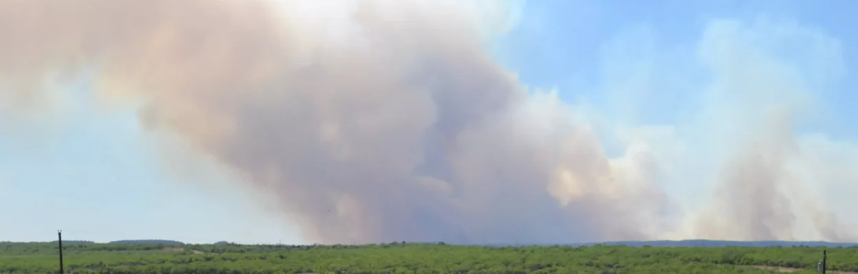 Smoke from a fire on the horizon