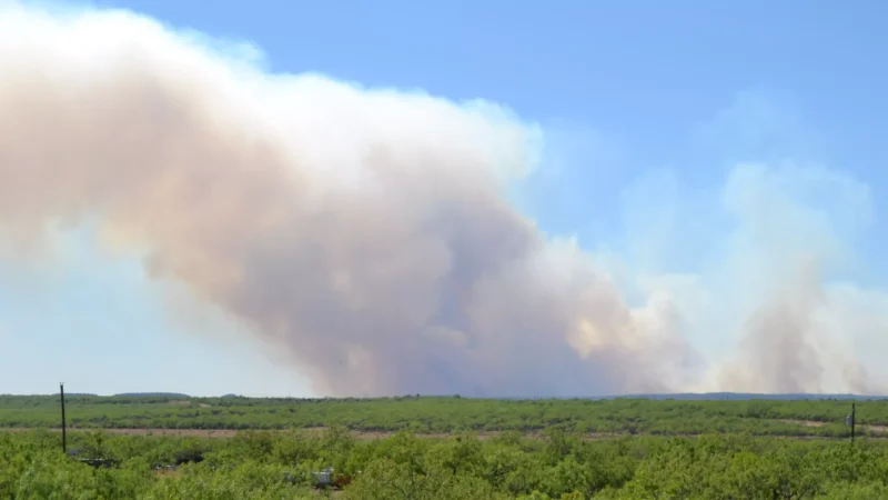 Featured image for “Fire danger expands across much of the Florida Peninsula”
