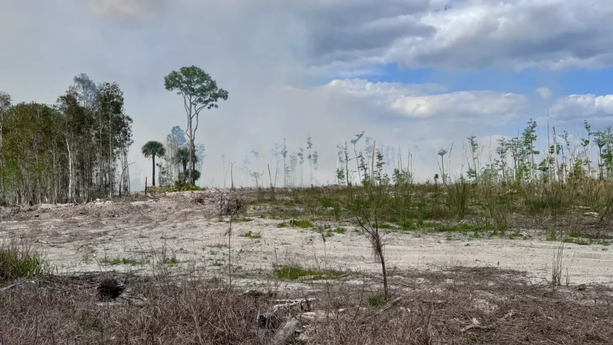 Wildfire activity during the drought around Clay and Putnam counties.