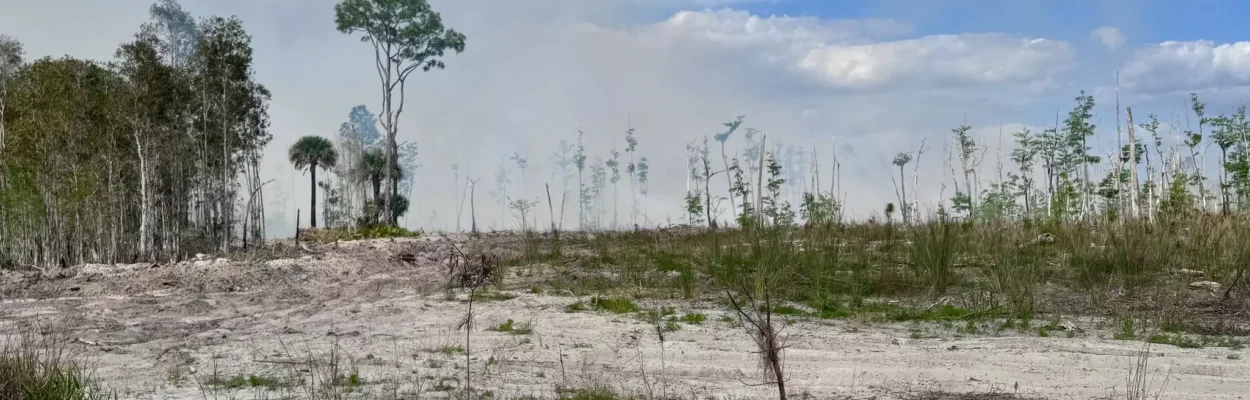 Wildfire activity during the drought around Clay and Putnam counties.