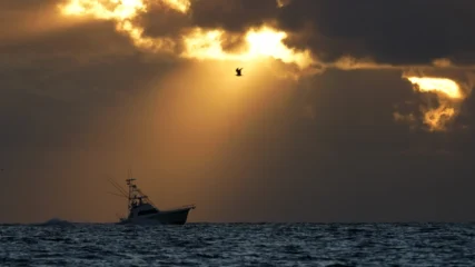 Featured image for “Florida revamps red snapper fishing after court  issues ban in South Atlantic”