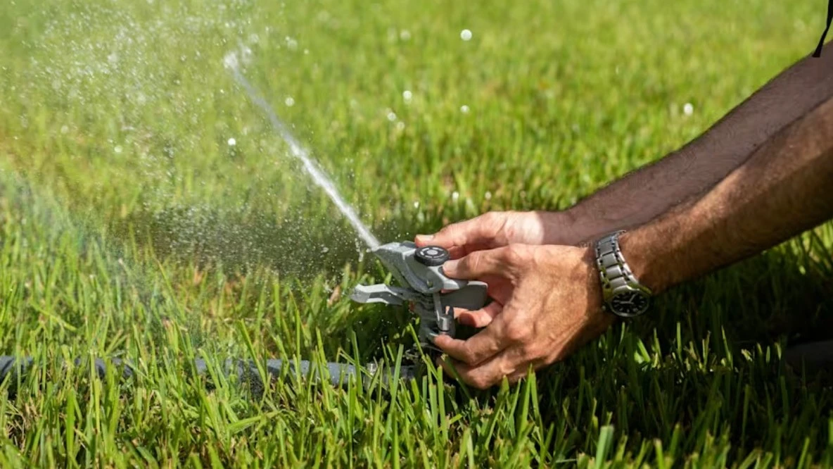 A lawn sprinkler during water restrictions.