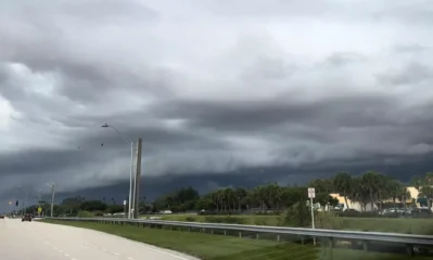 Featured image for “Goodbye cold fronts, hello sea breezes: Florida’s rainy season is arriving”