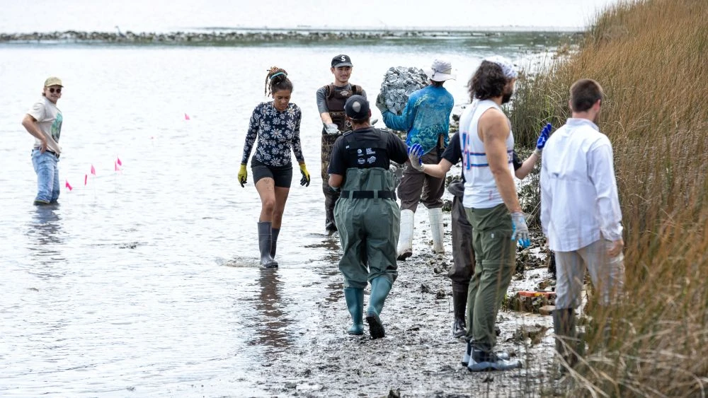Featured image for “Volunteers plant oyster shell habitats in effort to help clean waterways”