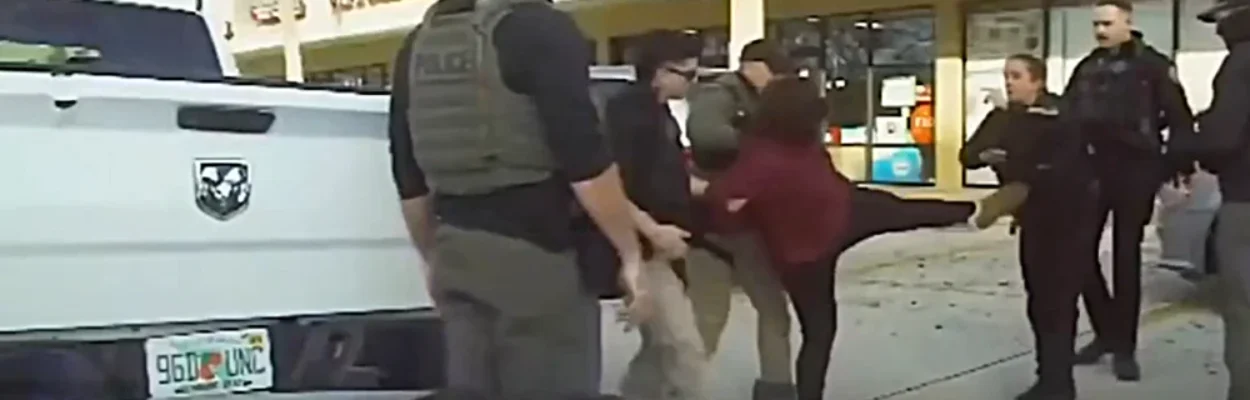 A woman is seen kicking at an immigration agent.
