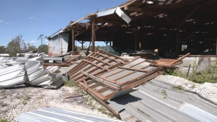 Featured image for “Hurricane forecasters downgrade predictions as El Niño strengthens”