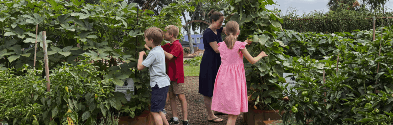A woman and children pick produce from Overalls Farm Three.