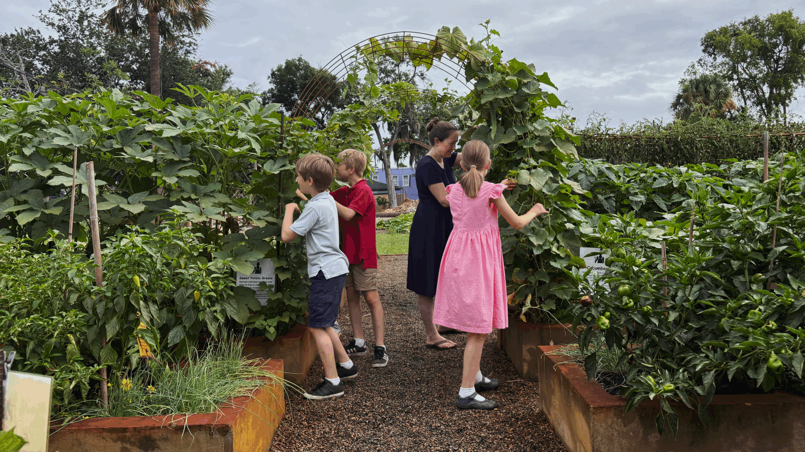 A woman and children pick produce from Overalls Farm Three.