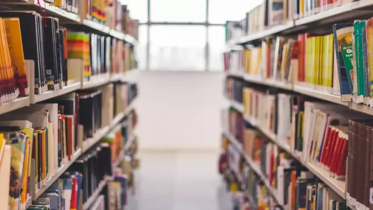 Bookshelves with books on them. Windows are in the background.