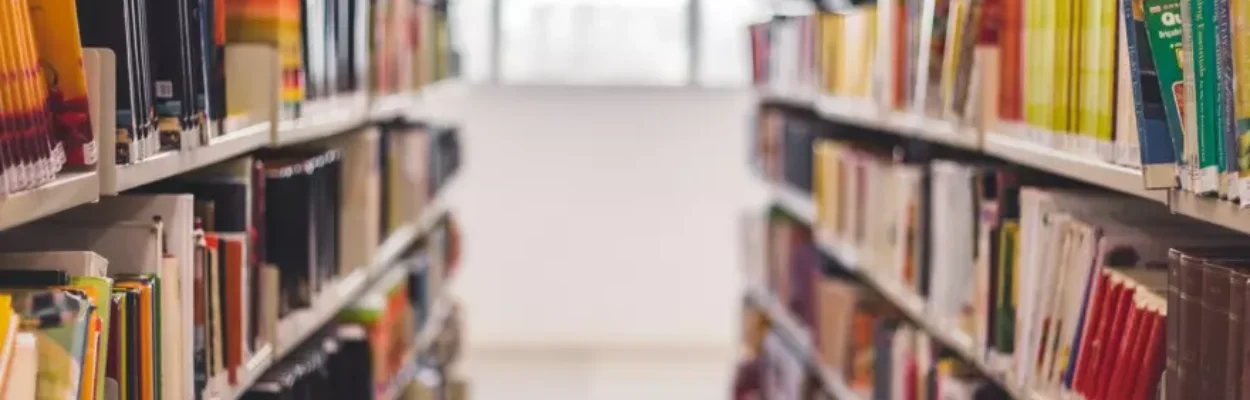 Bookshelves with books on them. Windows are in the background.