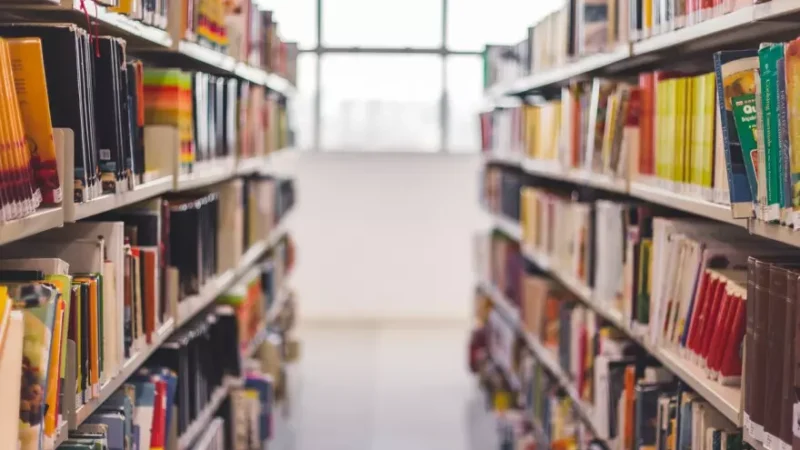 Featured image for “What comes after book bans? Clay County Schools questions traditional libraries”