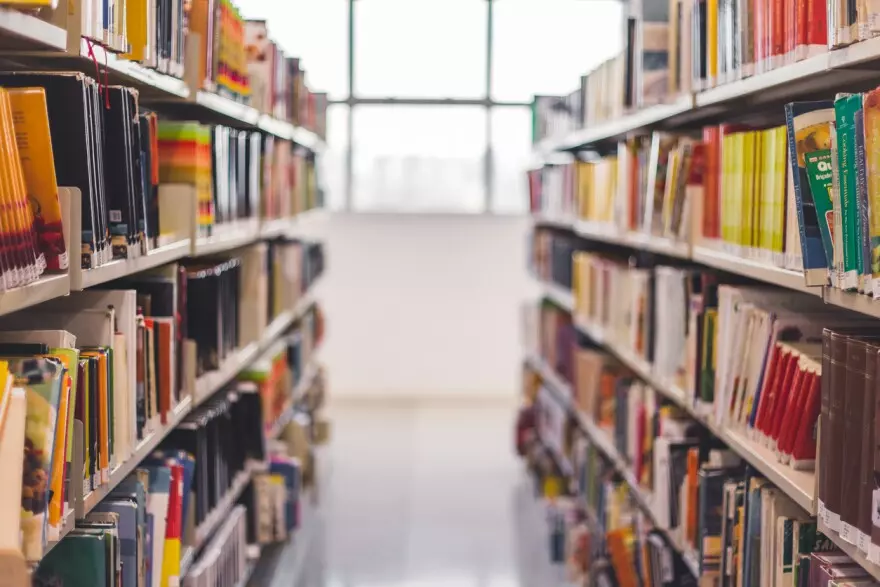 Bookshelves with books on them. Windows are in the background.