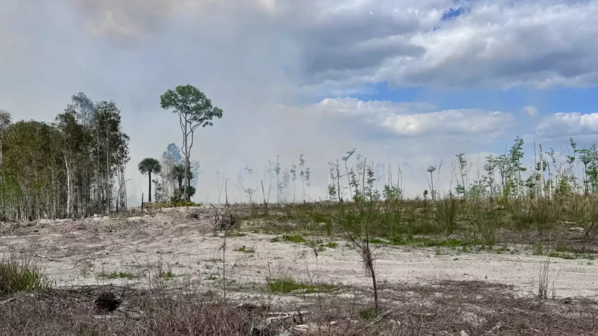 Drought conditions seen during the Railroad Fire in mid-2026 in Northeast Florida.