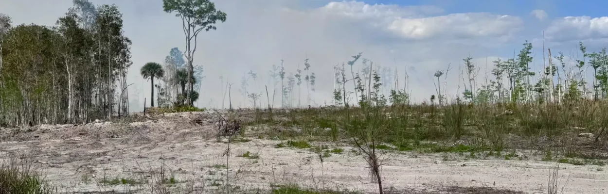 Drought conditions seen during the Railroad Fire in mid-2026 in Northeast Florida.