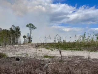 Featured image for “Strengthening El Niño could signal early end to Florida’s rainy season”