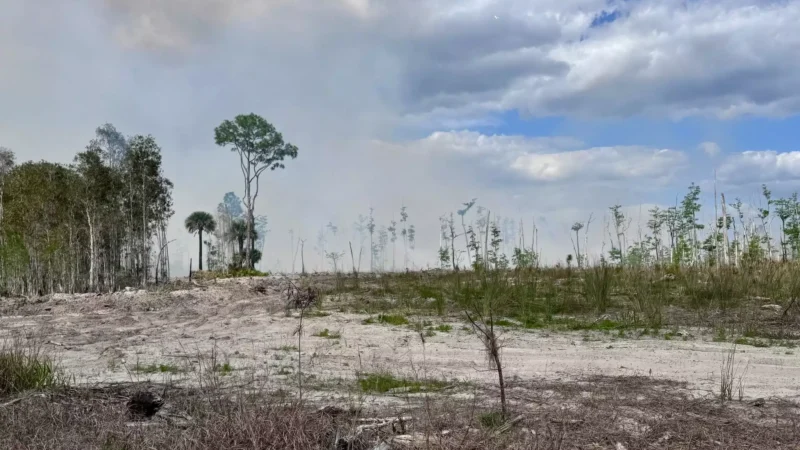 Featured image for “Strengthening El Niño could signal early end to Florida’s rainy season”