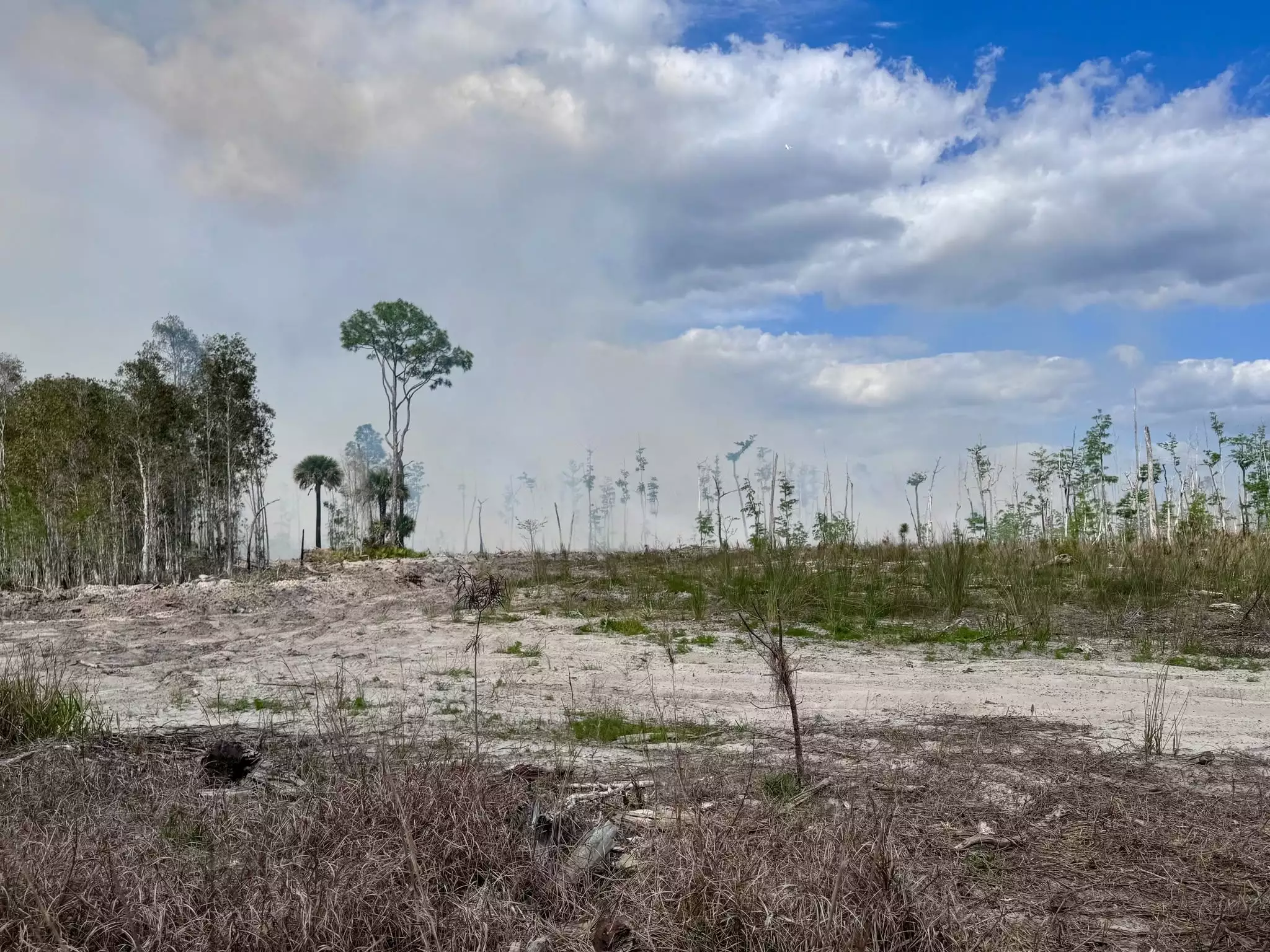 Drought conditions seen during the Railroad Fire in mid-2026 in Northeast Florida.