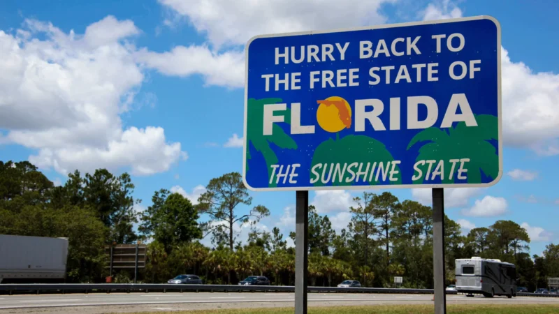 Featured image for “Florida’s midsummer report card: Widespread heat, uneven rainfall”
