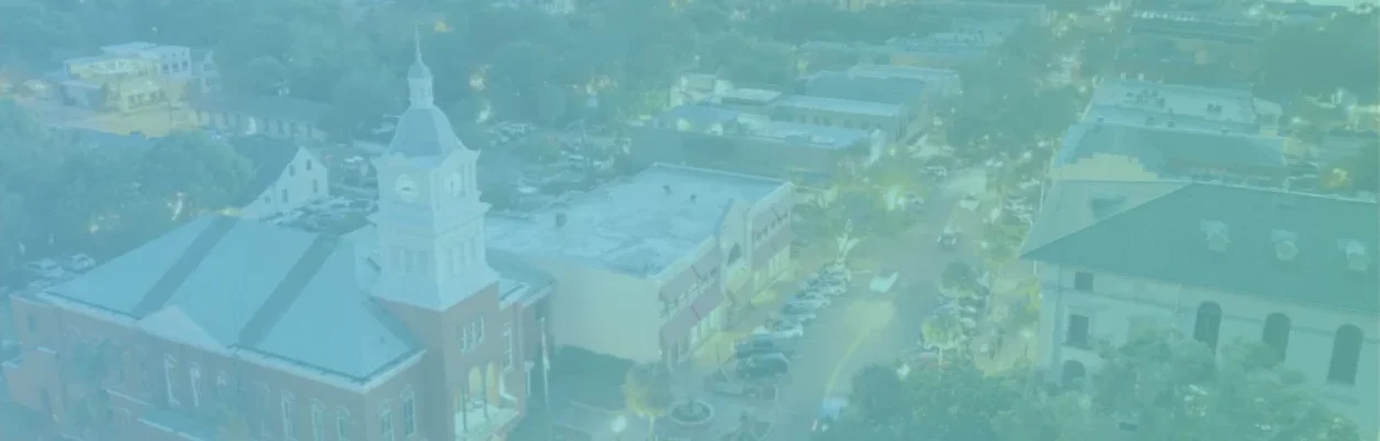 Fernandina Beach from above | Nassau voter guide cover photo