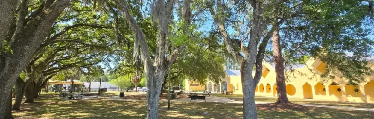 Trees and homes in Lincoln Villas