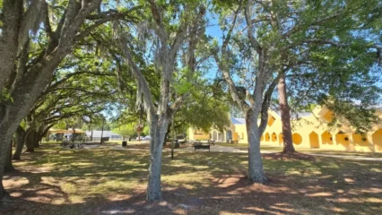 Featured image for “THE JAXSON | Lincoln Villas: A community beyond the city”