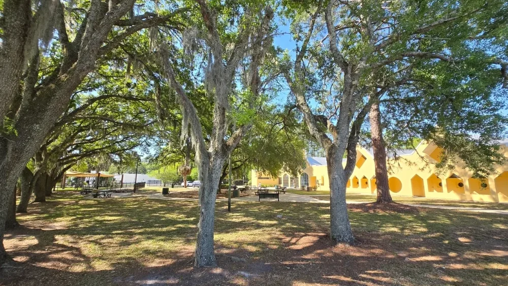 Trees and homes in Lincoln Villas
