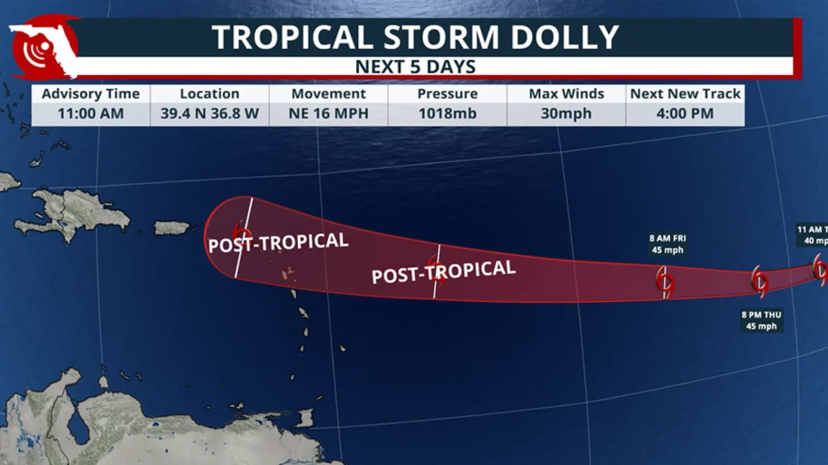 Dolly Track