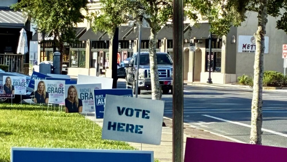 Campaign signs and "vote here" sign in grass