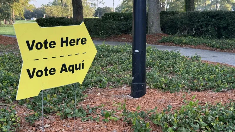 Featured image for “Here were the local contests decided outright on Election Day in August”