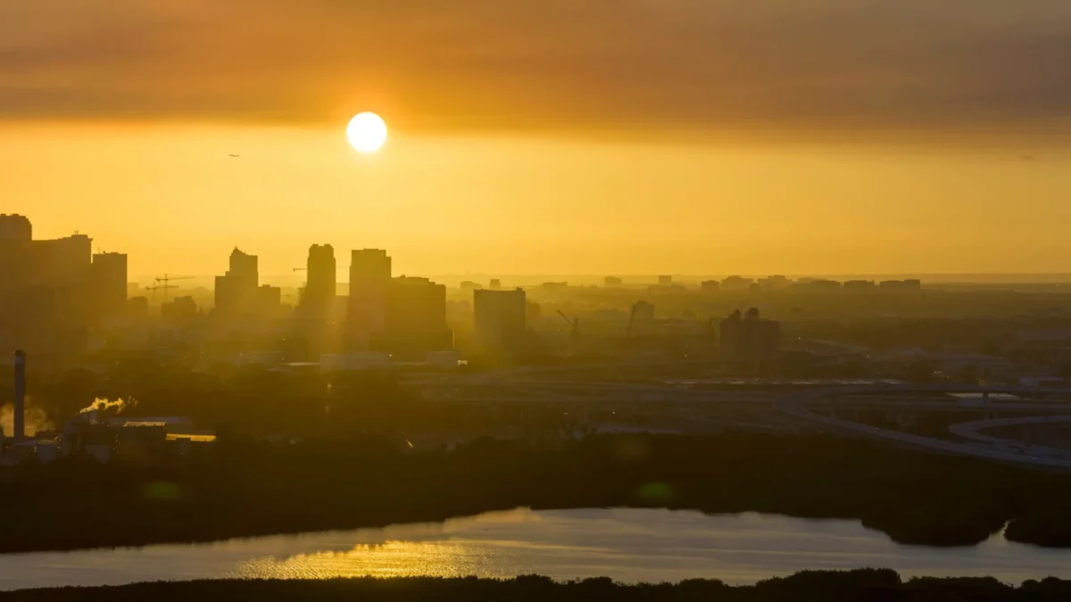 Aerial view of downtown Tampa at sunset during the summer. Dark silhouette of high skyscraper office buildings in modern american midtown.