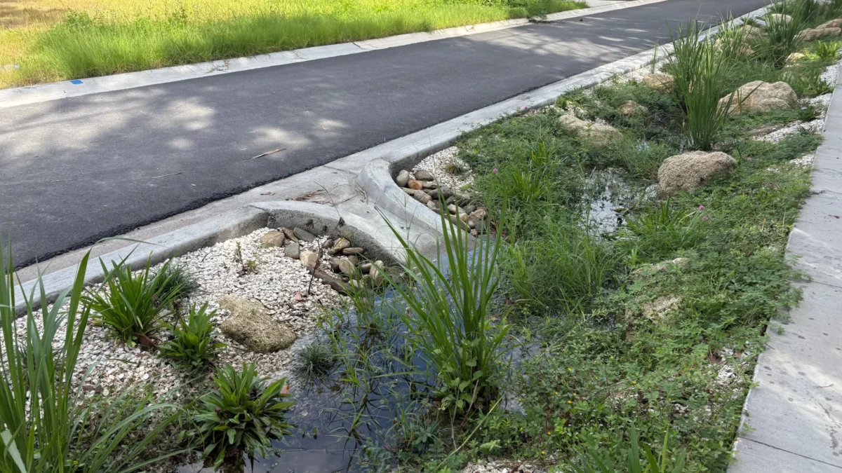 A bioswale — a green system that holds and purifies stormwater with specialized soil — sits along the road.
