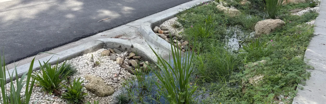 A bioswale — a green system that holds and purifies stormwater with specialized soil — sits along the road.