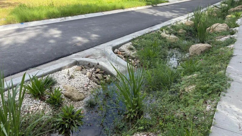 Featured image for “St. Augustine builds its first green stormwater system”