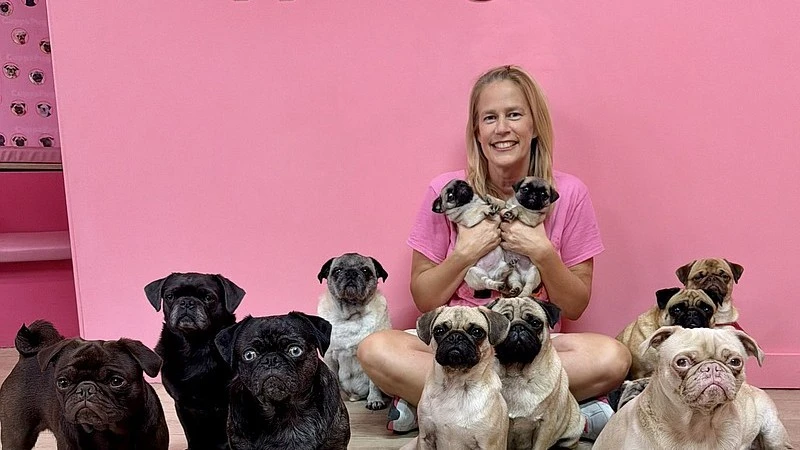 A woman surrounded by pug dogs.