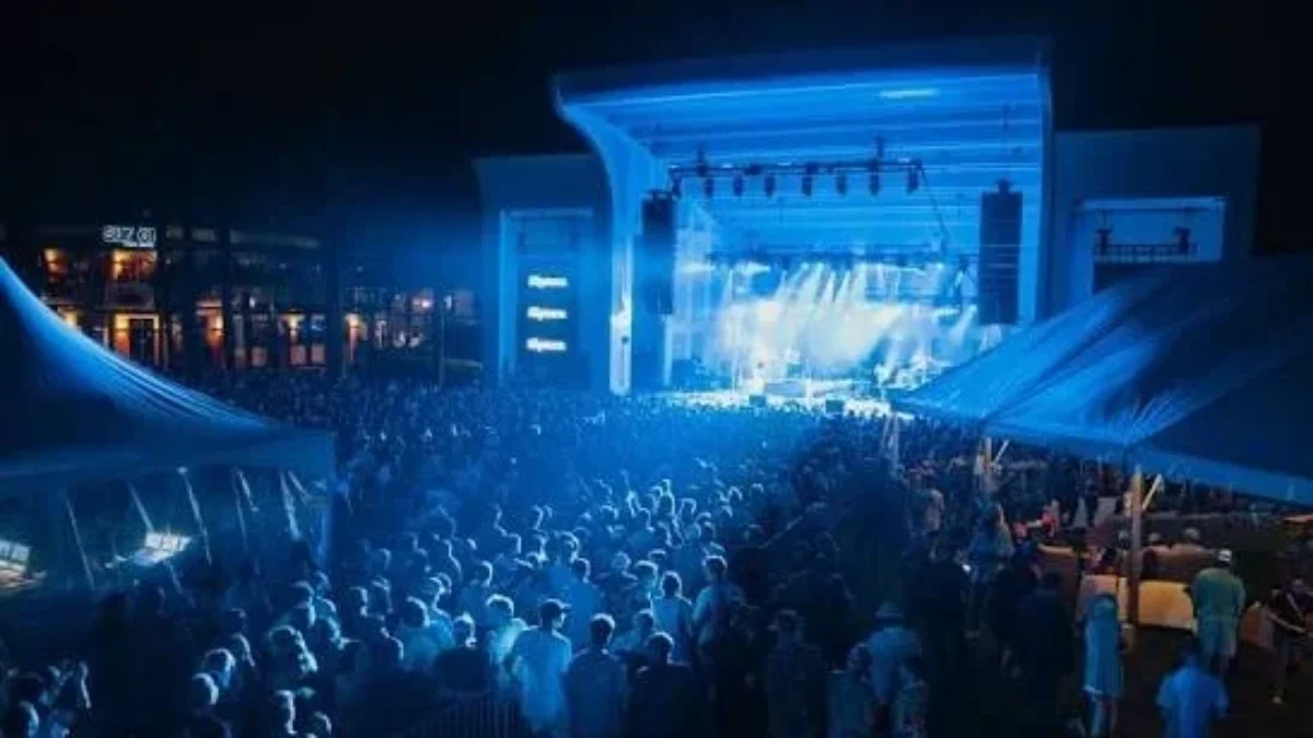 Stage and crowd at Fin Fest