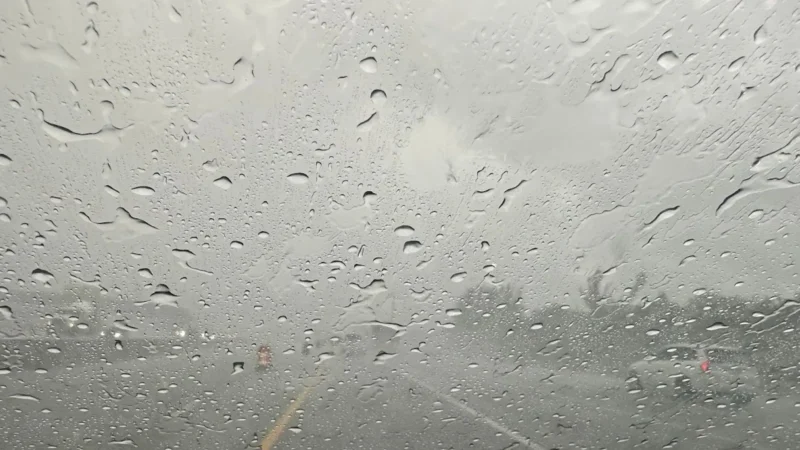 Featured image for “Florida forecast: Much-needed rain on the way, too much?”