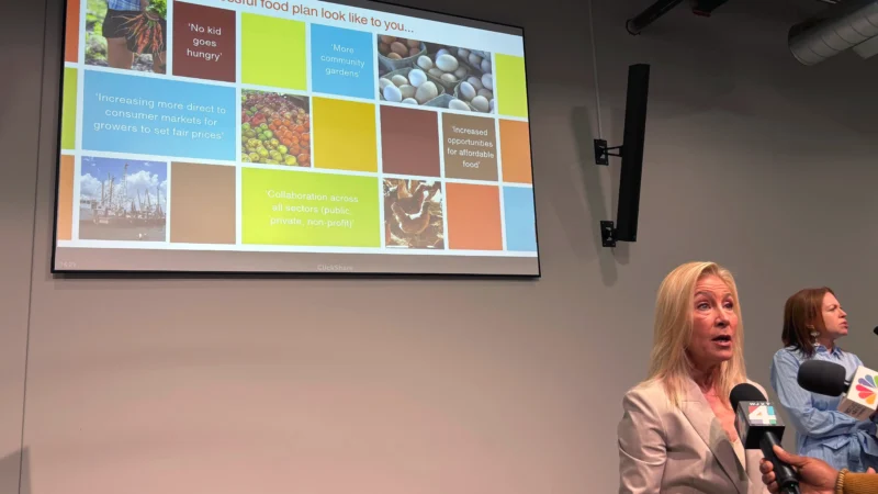 Featured image for “Jacksonville presents its first food plan to combat food insecurity”