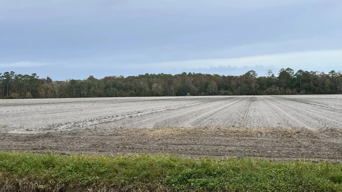 Empty farmland near State Road 208 in St. Johns County.