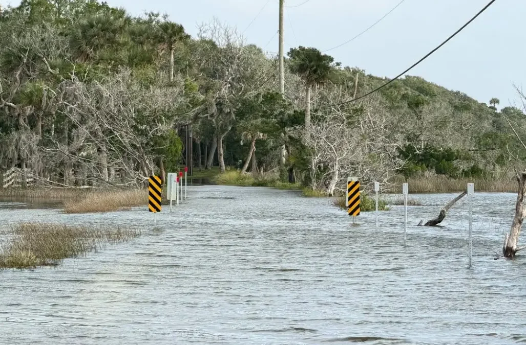 Coastal flooding at the Timucuan Ecological & Historic Preserve﻿ in Northeast Florida.